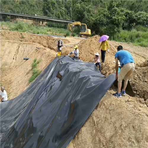 魚塘丝瓜视频成人版在线看膜